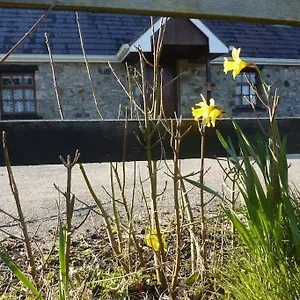 The Hill Holiday home
